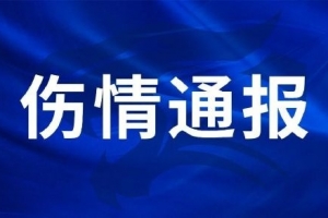 三镇球员刘奕鸣在日常对抗训练中手掌骨折,手术已顺利完成
