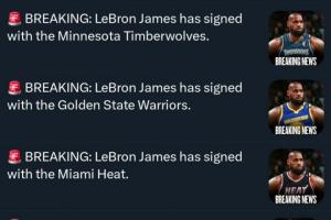 蜘蛛直播_蜘蛛直播足球在线观看_蜘蛛直播NBA高清直播