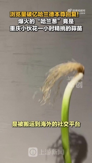 世界杯直播_美加墨世界杯直播免费高清观看_美加墨世界杯在线无插件视频直播